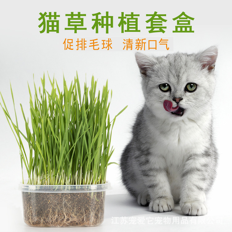 貓草種子營養土可OEM/ODM代工