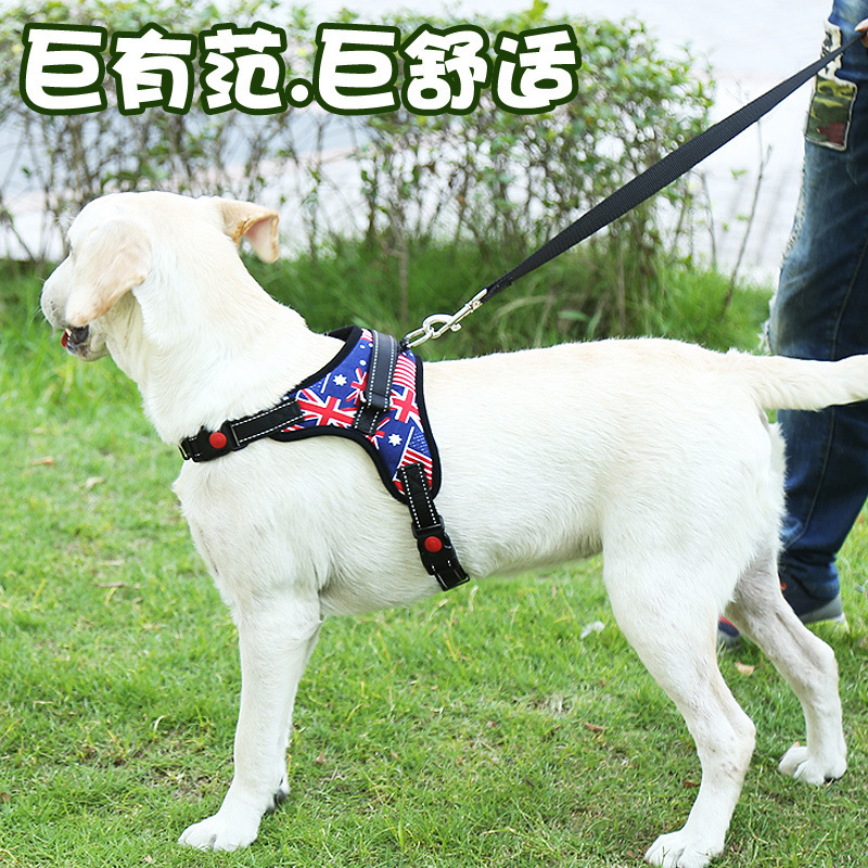 中大型狗狗牽引繩貼牌定制代加工