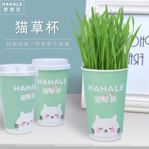 沭陽可爾喵寵物用品有限公司