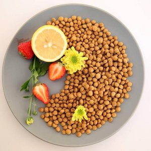 濰坊弘嘉寵物食品有限公司