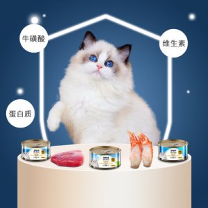 白肉貓罐代加工貼牌OEM/ODM