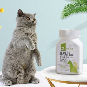 寵來運轉貓犬乳鈣片OEM代加工