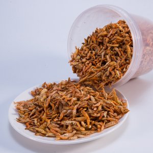金玨佳凍干紅頭蝦魚飼料