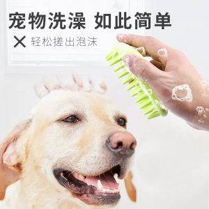 狗狗洗澡刷