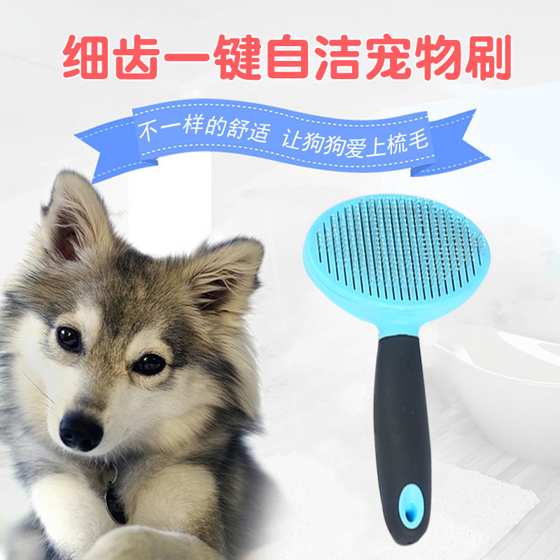 建新寵物一鍵自潔寵物刷狗狗