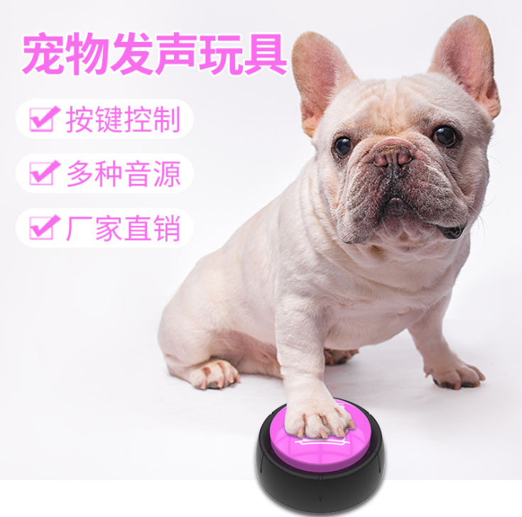 寵物音樂大按鈕塑膠電子玩具