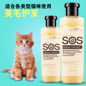 貓咪沐浴露逸諾寵物成幼貓沐浴乳