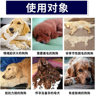 醫仕高卵磷脂顆粒