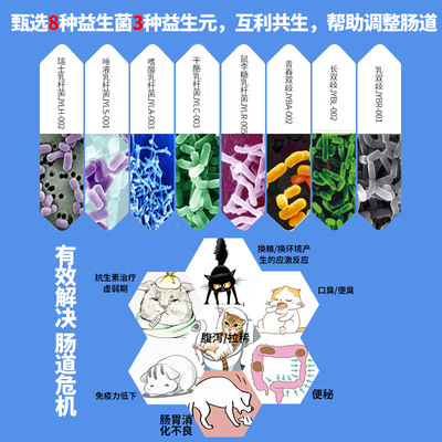 醫仕高寵物益生菌