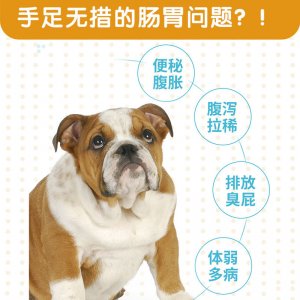麥德士氏INBasic汪貓樂益生菌貓犬25g