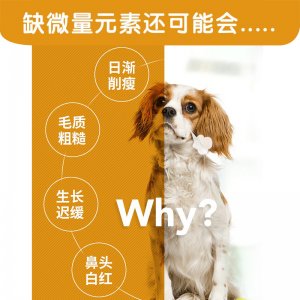 麥德士氏螯合微量元素片狗狗150片