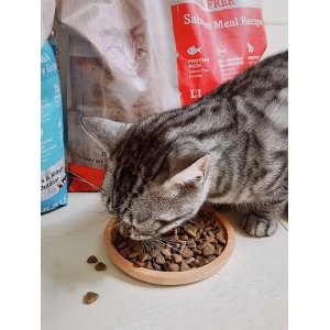 美國梅亞奶奶無谷貓糧12磅