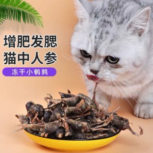 寵兒佳凍干鵪鶉