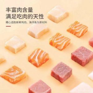 幼貓咪糧食通用型
