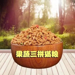 貓糧100克