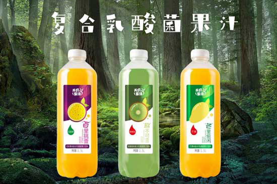 天府（果緣）復合乳酸菌果汁1.jpg