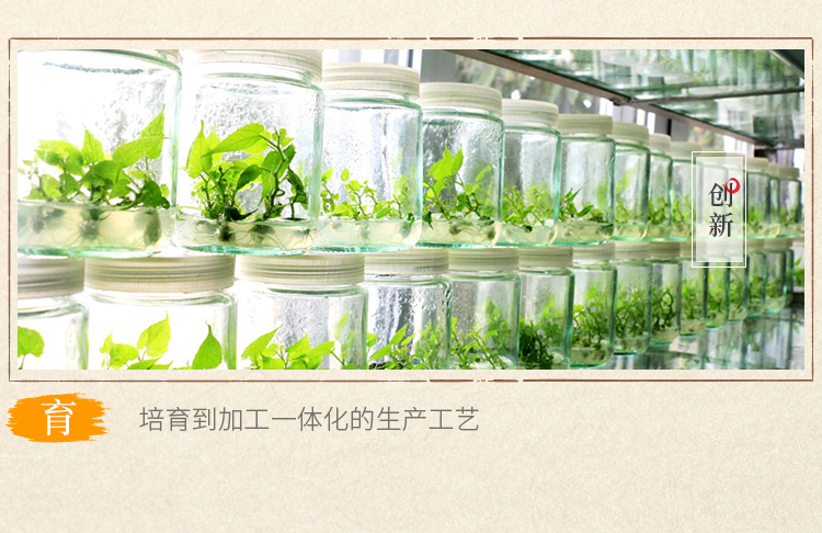 風味+茶膏2片_06.jpg