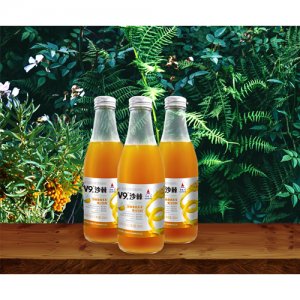 宇航人V9沙棘果肉多多飲料瓶裝