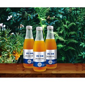宇航人V9鮮榨沙棘無糖果汁飲料瓶裝