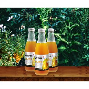 宇航人V9沙棘＆芒果復合果汁飲料瓶裝