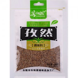 樂味源孜然30g