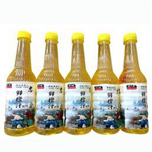 溢汁園鮮橙汁飲料500ml