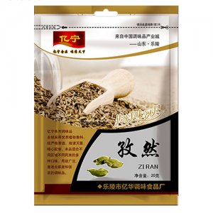 億寧孜然20g