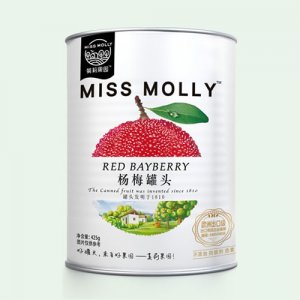 莫莉果園楊梅罐頭425