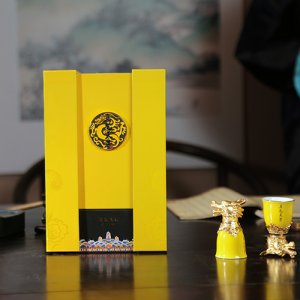 真龍天子御龍飛天（大紅袍）