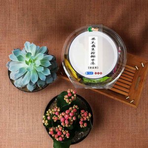生榨椰子凍