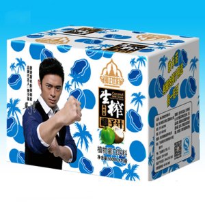 椰正世家生榨椰子汁果肉型500mlX15