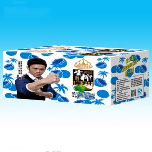 椰正世家生榨椰子汁果肉型245mlX15