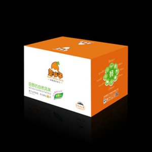 薯仙子香軟紅薯干通用彩箱