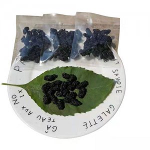 瑞利豐桑葚干散稱