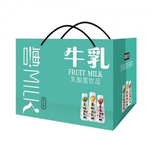 鮮點子乳酸菌飲品
