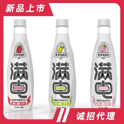 滿電電解質運動飲料450ml功能批發招商代理