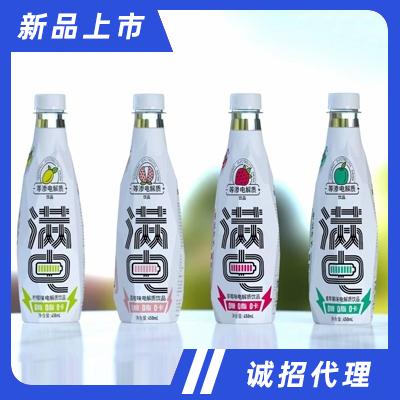 滿電電解質運動飲料450ml功能飲料