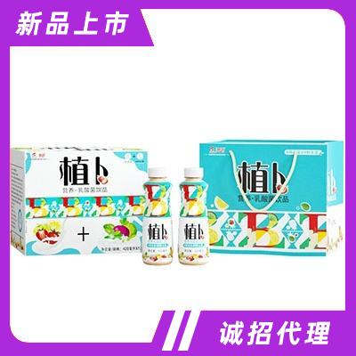植卜營養型乳酸菌飲品（箱）