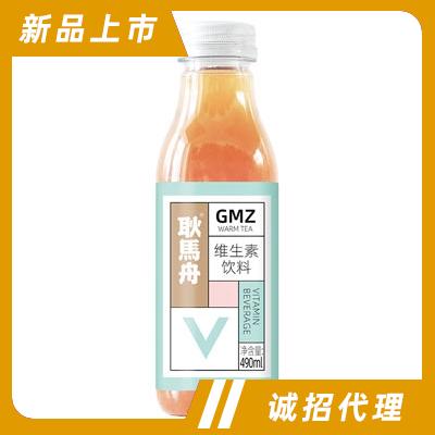 耿馬舟維生素飲料功能飲料招商代理490ml商超貨源
