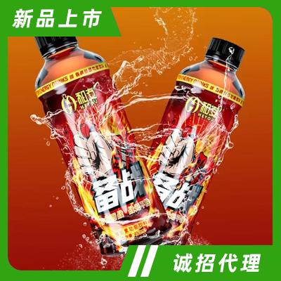和友備戰維生素功能飲料運動后健康飲品450ml