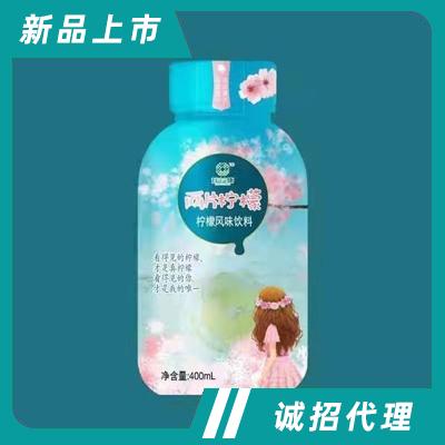 瑋益康兩片檸檬風味飲料400ml