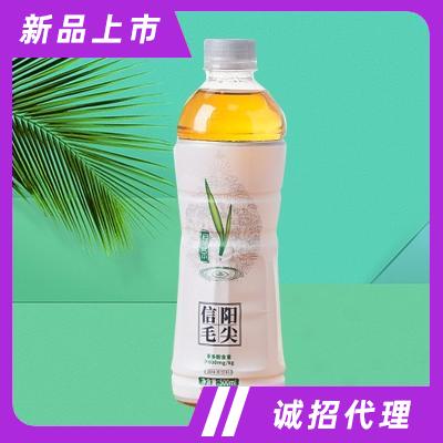 信陽毛尖綠茶500ml