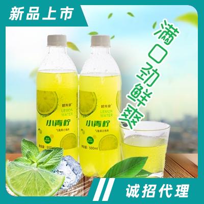 碧升泉小青檸氣泡果汁飲料500ml網紅同款