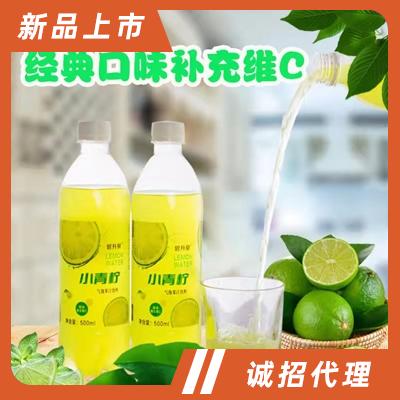 碧升泉小青檸氣泡果汁飲料500ml健康飲料網紅爆款