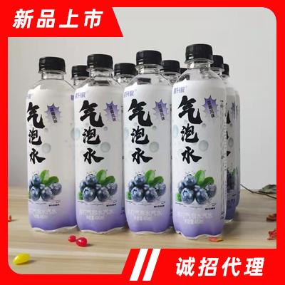 碧升泉葡萄味蘇打氣泡水汽水480ml夏季飲品招商代理