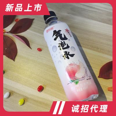 碧升泉白桃味蘇打氣泡水汽水480ml夏季飲品招商代理