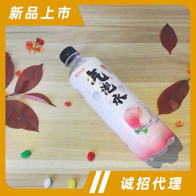 碧升泉白桃味蘇打氣泡水480ml夏季飲品招商代理