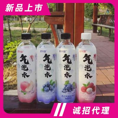 碧升泉白桃味+葡萄味蘇打氣泡水夏季飲品招商代理