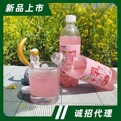 碧升泉+乳氣泡乳汽水瓶裝碳酸飲料果味氣泡水500ml