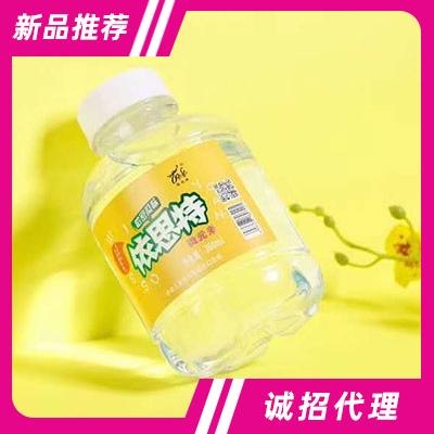 依思特哈密瓜味飲用水360ml